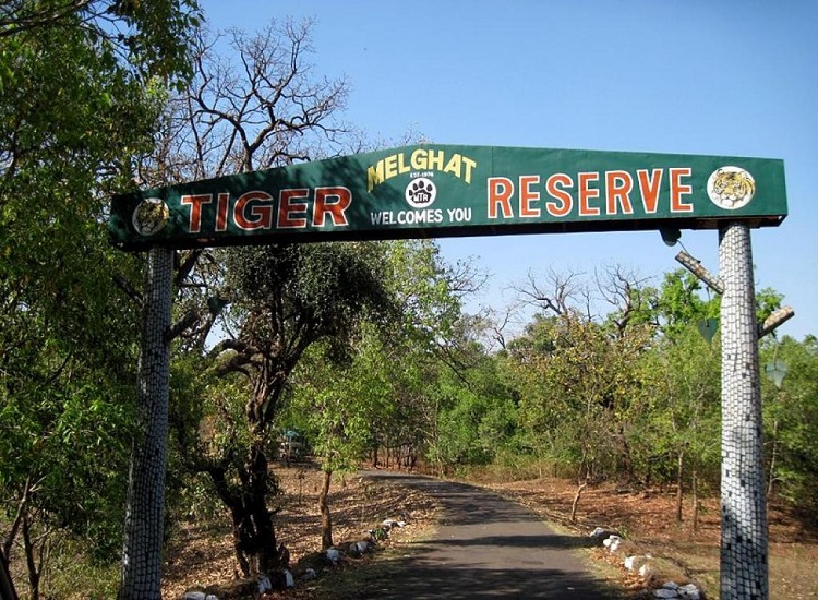 Melghat Tiger Reserve, Maharashtra