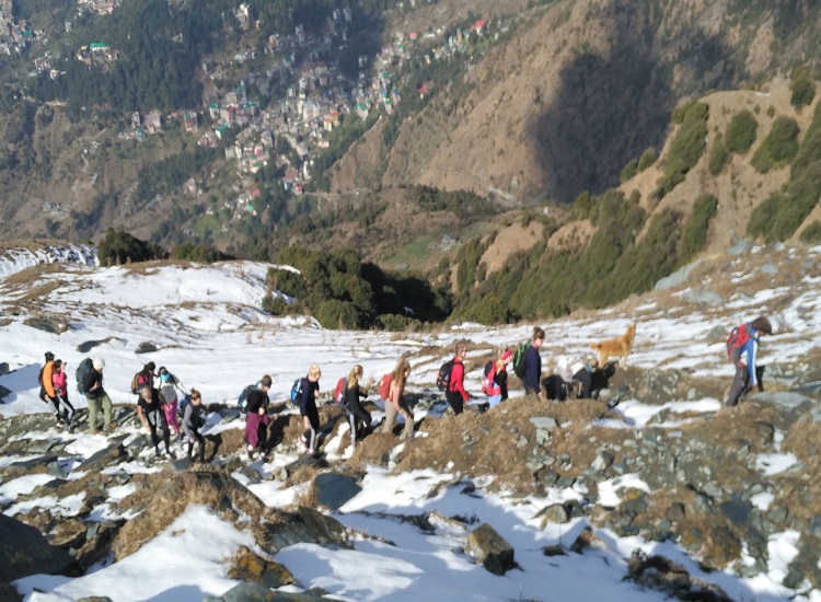5 Best Snowfall Places in Himachal Pradesh in January