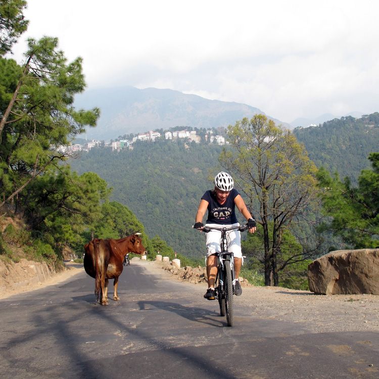 Cycling-in-Kangra