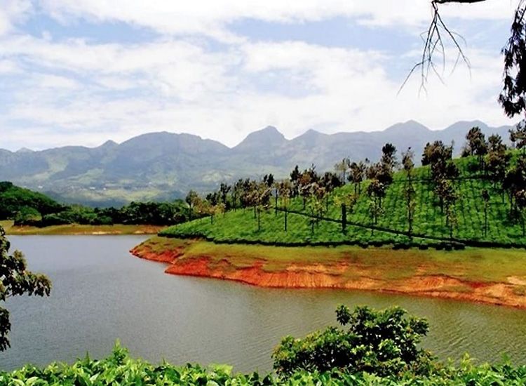 places to visit near sterling munnar