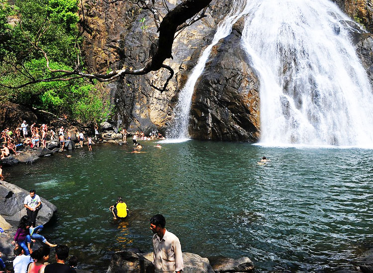 Dudhsagar-Waterfalls-goa