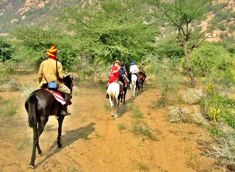 23 Things to Do in Rajasthan to get the Glimpses of Royal Rajasthan