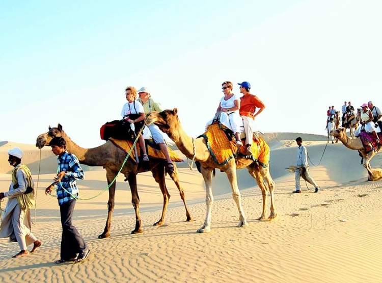 camel-safari-jaisalmer-camp