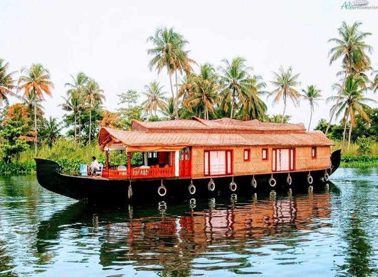 19 Top Things To Do In Kerala Activities To Enjoy In Kerala 