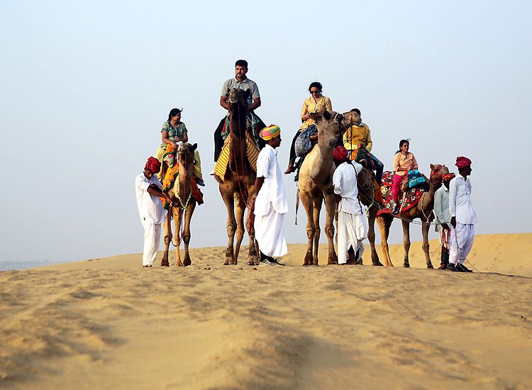 Camel Safari in Rajasthan