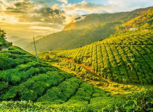 Things to Do In Kerala - Travel Experiences in Kerala