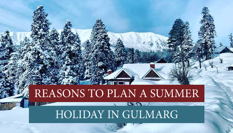 Summer holiday in Gulmarg