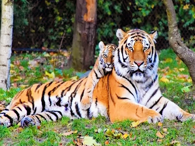 12 Best Wildlife Sanctuaries in Kerala