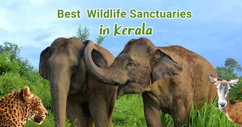 wildlife-sanctuary-in-kerala