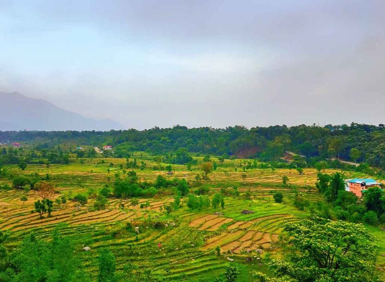 Palampur hill station in Himachal Pradesh