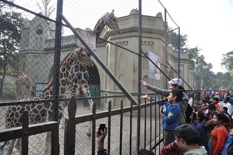 Alipore Zoo, Kolkata