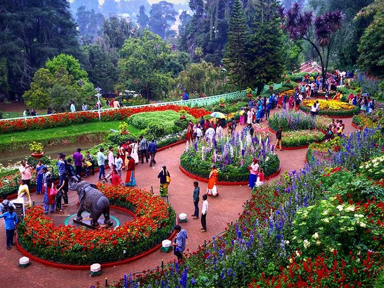 Botanical Gardens, Kolkata