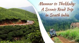 Munnar-to-thekkady-by-road