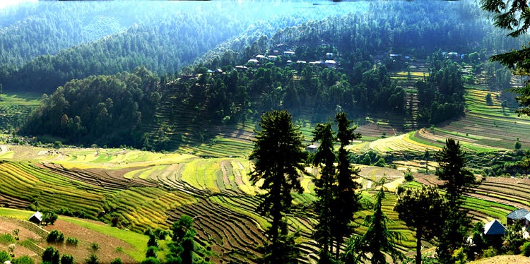 Chindi, Himachal Pradesh