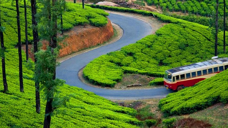 places-to-visit-in-munnar