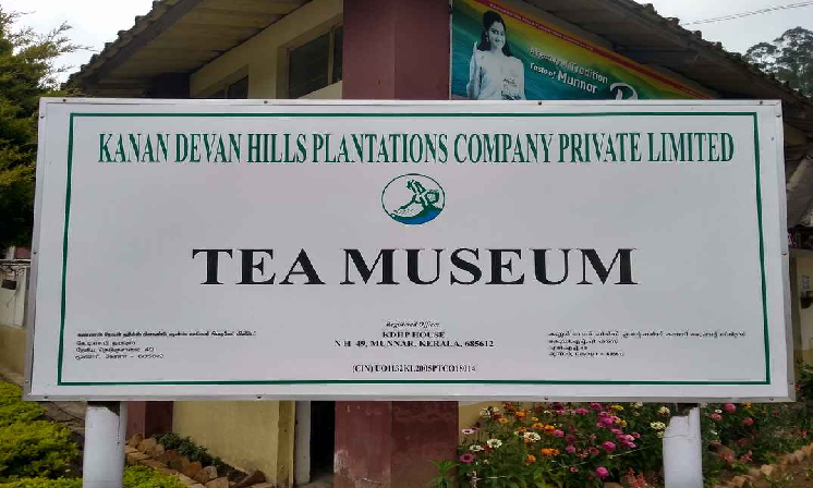 one-day-trip-munnar-tata-tea-museum