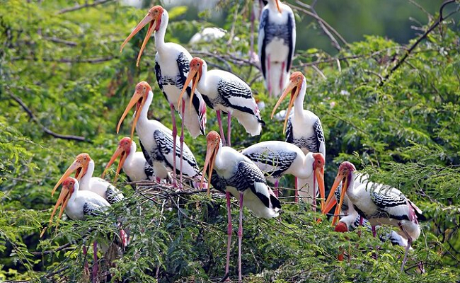 family trip Bharatpur near delhi