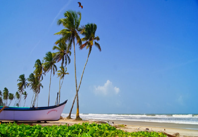8 Best Beaches in Goa for Families to Enjoy Tropical State of Mind