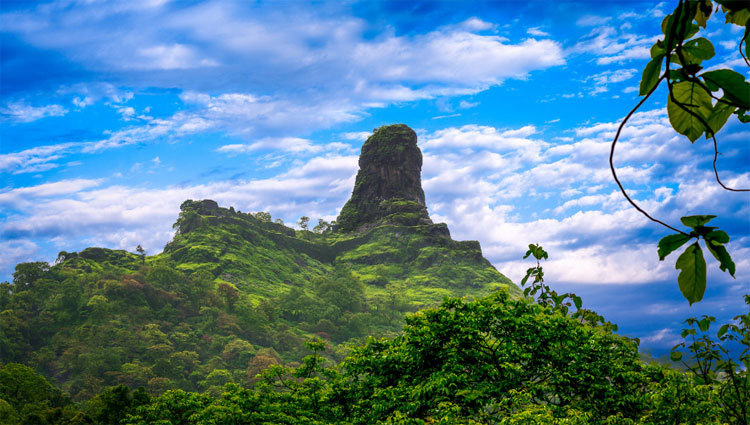 Karnala in Monsoon