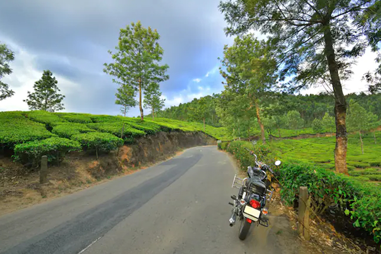 honeymoon-places-near-Chennai-ooty