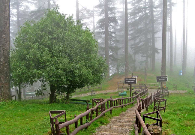 8 Best Places to Visit in Uttarakhand in December