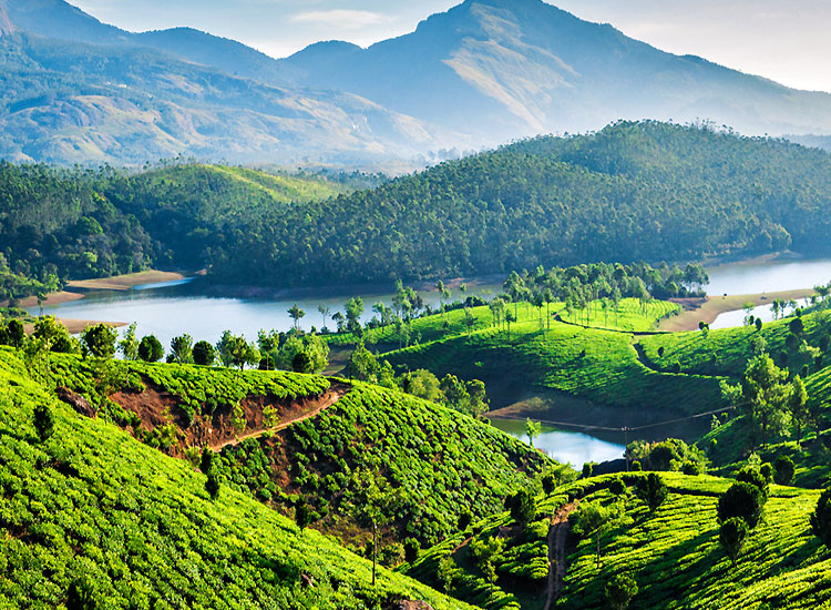 places-to-visit-in-kerala-with-family-munnar
