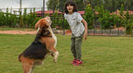 Vama Retreats: A Pet Friendly Hotel in Bangalore