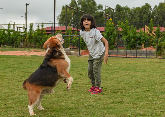 Vama Retreats: A Pet Friendly Hotel in Bangalore