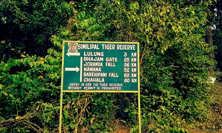 simlipal-national-parks