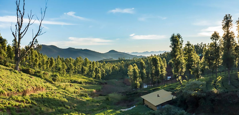 10 Famous Hill Stations in Tamil Nadu for a Relaxing Weekend