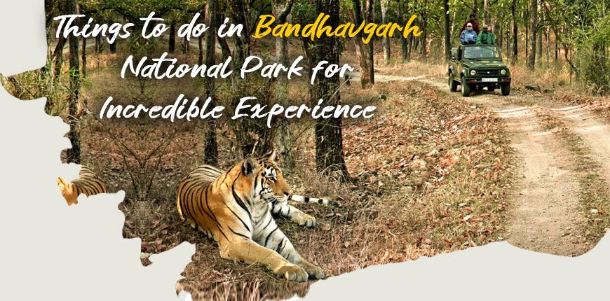 Things-to-do-in-Bandhavgarh-National-Park-2022