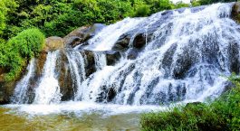 waterfalls-in-tamil-nadu