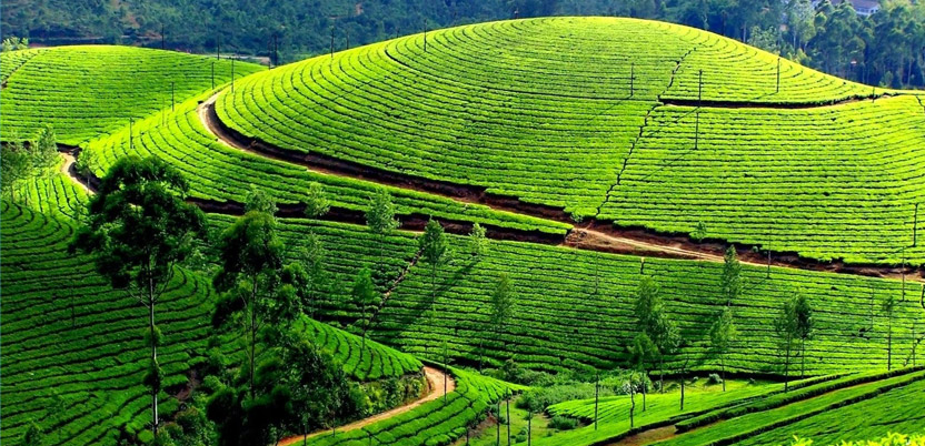 10 Famous Hill Stations in Tamil Nadu for a Relaxing Weekend