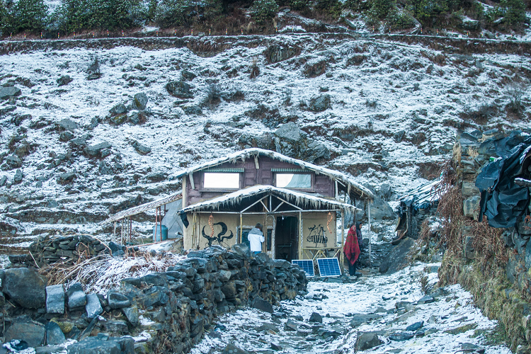 snowfall in chopta uttarakhand