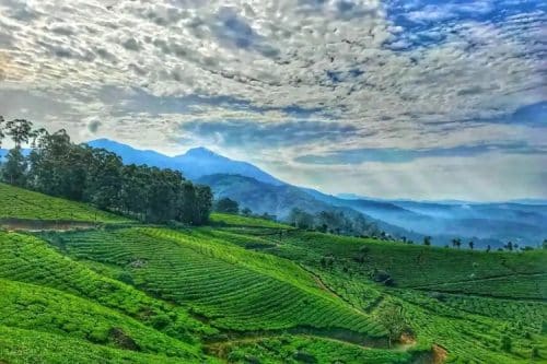 Best Places to Visit in November in South India 2023