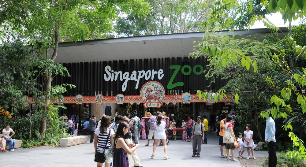 Free Things to do in Singapore that will Engross you