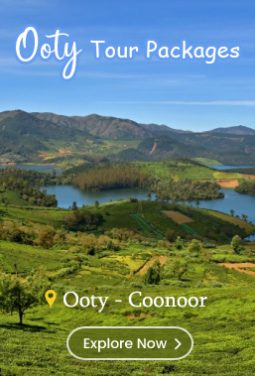 Popular Ooty Holiday Packages
