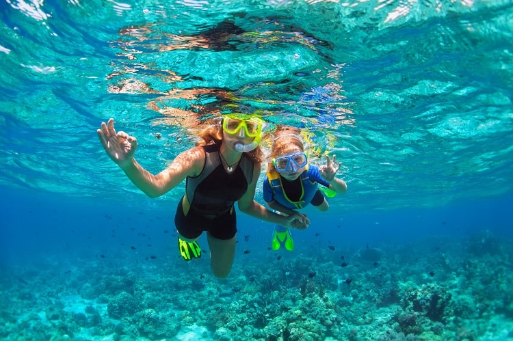 Snorkel With Giant Turtles And Witness Dolphins On Your Mauritius Holidays