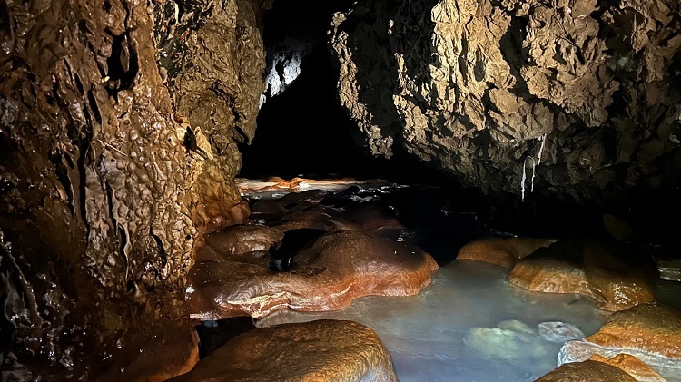 PDF) The biota of Siju cave, Meghalaya, India