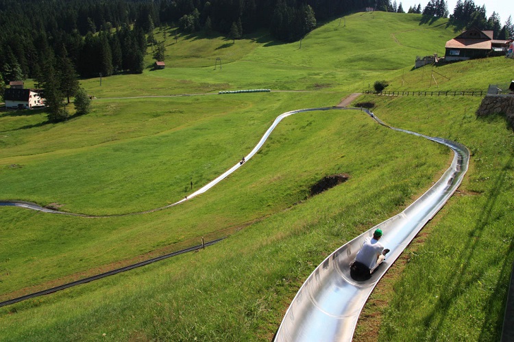Hop On 11 Best Mountain Coasters In Switzerland, Ideal For The Daring Souls