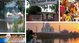 Beyond Taj: Offbeat Things To Do In Agra To Truly Enjoy Your Visit