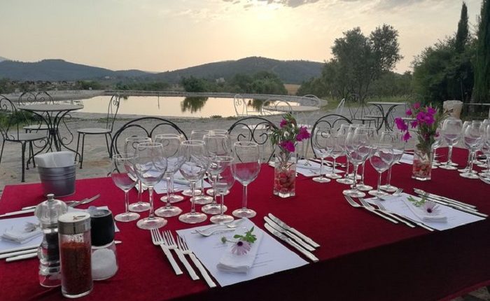 Learn To Make The Perfect Wine And Food Pairings At Karnas Vineyards