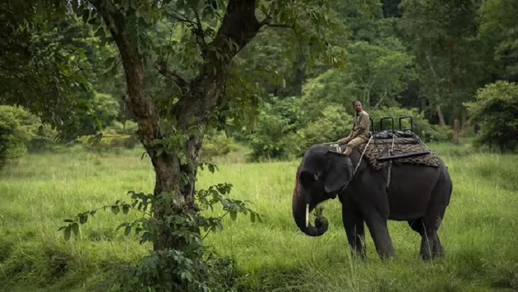 Kaimur Wildlife Sanctuary 