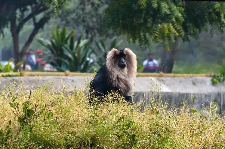 National Zoological Park Delhi