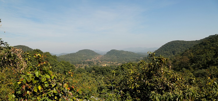 Daringbadi Hill Station,