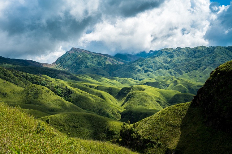 Dzukou Valley